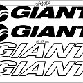 GIANT 2